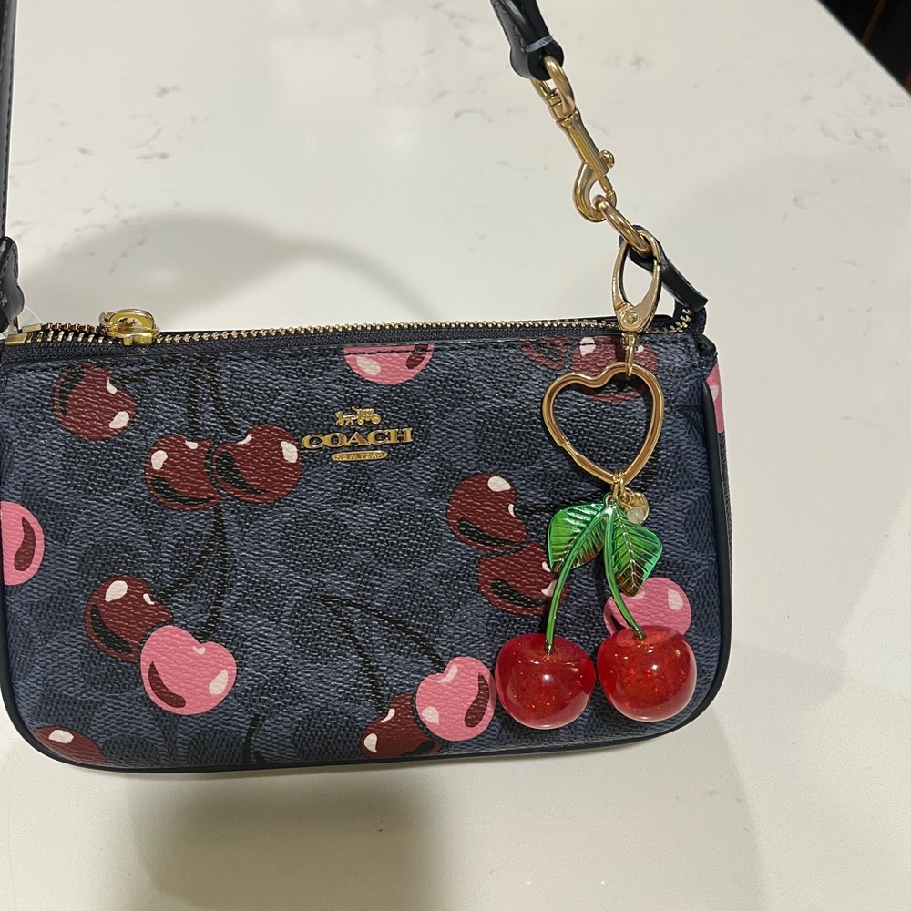 🍒 New! Coach! - Picture 13 of 17